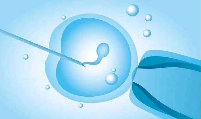 43岁卵巢早衰该怎么办&省供卵试管婴儿,少精子症应该怎么检查