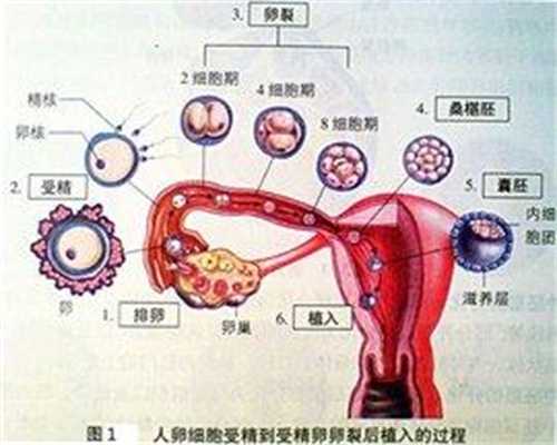 准妈妈孕期检查都查些啥_晋城市人民医院有不孕