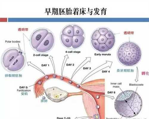武汉茁壮代孕：导致宫颈性不孕的7大原因_中国助