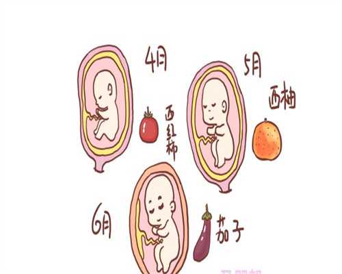 武汉哪里可以捐卵：女性在代孕期过于肥胖怎么