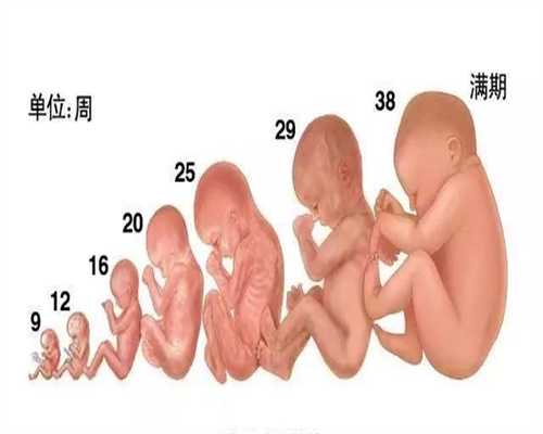 武汉有助孕医院吗_武汉哪里有助孕的女孩_怀孕2个月有什么反应