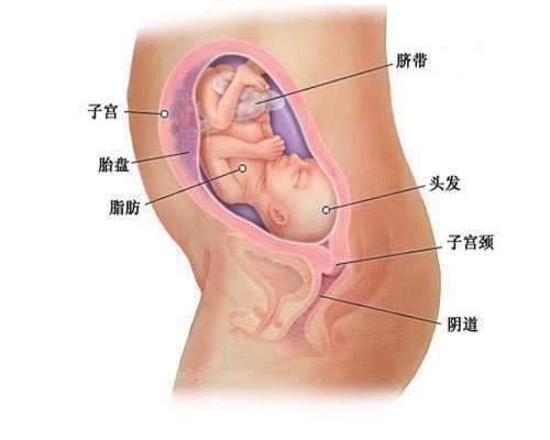 武汉代孕包生男孩_武汉代孕包男孩_西囡供卵要等几年：已怀孕的验孕棒图片，