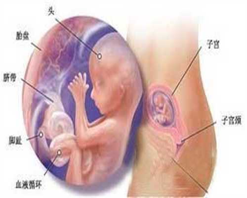 武汉有没有女人愿意代孕_武汉试管代孕费用_上海添丁助孕集团：取卵对试管婴