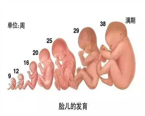 武汉代孕的中介有哪些_武汉医院+代孕_东骏助孕中心靠谱吗：怀孕期间进行三级