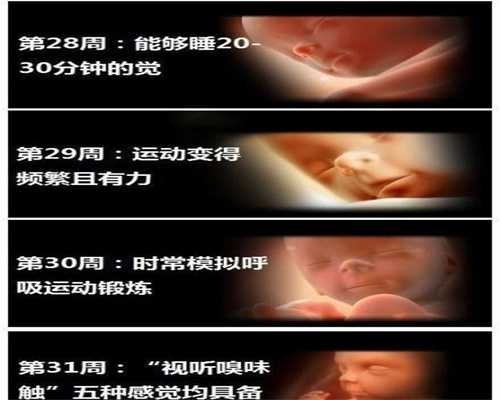 武汉有助孕的吗_武汉助孕的孩子质量怎么样_代孕大概多少钱_助孕和代孕的区别
