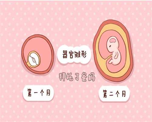 武汉助孕行业怎么样_武汉试管助孕成功率有多高呢_在怀孕36周时分娩早产吗？