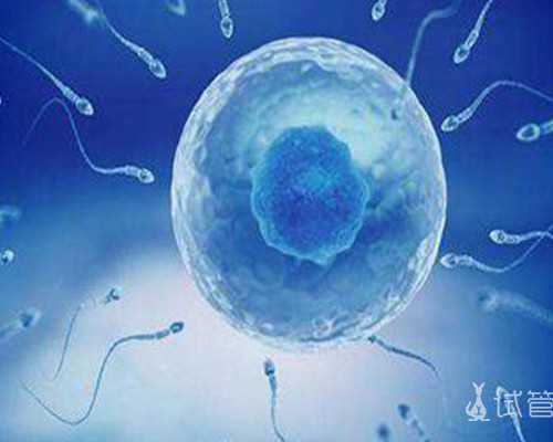 南宁试管婴儿：探究南宁地区胚胎培育的费用构成与价格明细