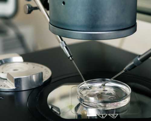 广西供卵试管是否真实？了解辅助生殖技术与政策