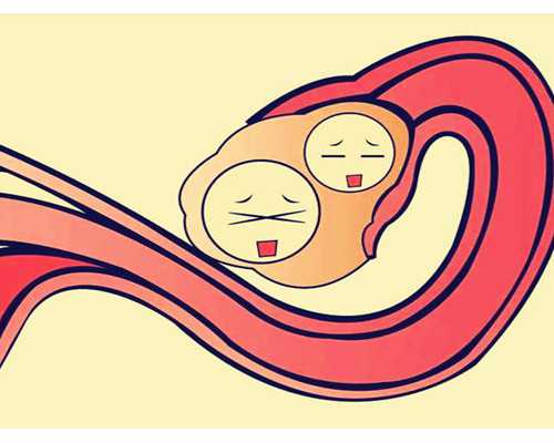 南宁地区试管助孕费用概览与成功率分析