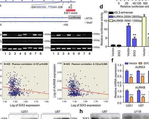 南宁辅助生殖：助您成功孕育