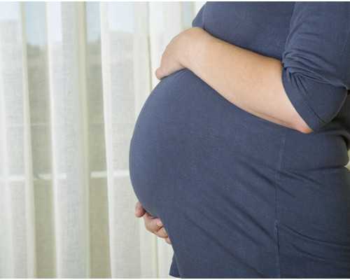 生育的法律条例与试管助孕机构的费用成功率解析