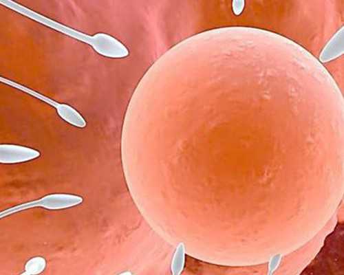 广西省试管助孕医院排名深度解析