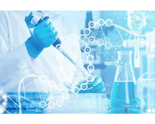 试管婴儿的证件要求及流程解析